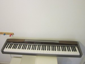 casio px 100