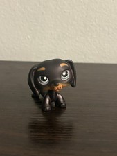 Littlest Pet Shop 325 Dachshund Black Brown Puppy Dog Blue Eyes Hasbro LPS
