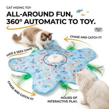 Interactive Cat Toy for Indoor Cats Automatic Teasing Wand Ball Kitten Play Toy