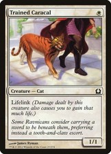 Trained Caracal #27 - Return to Ravnica Common Sinlge Magic: The Gathering