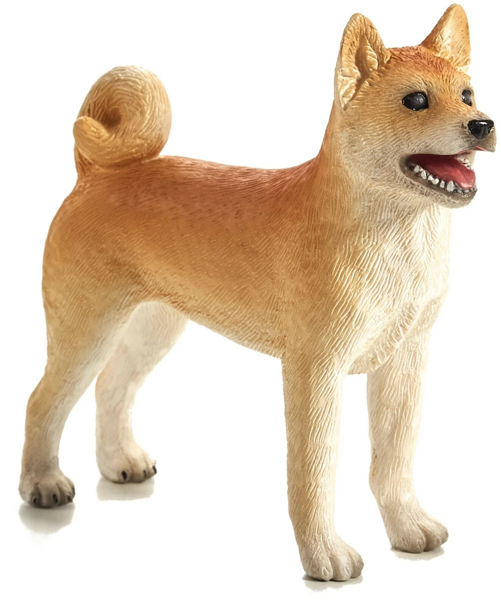 Ebay hotsell shiba inu