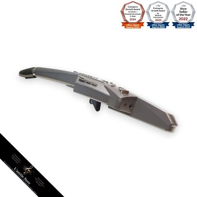 Roland Aerophone AE-10G Digital Wind Instrument Graphite Black