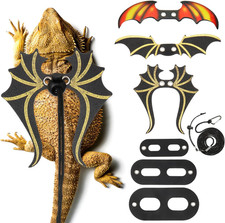 Bearded Dragon Leash and Harness Set 3 Size Pack Adjustable Cool Leather Lizard