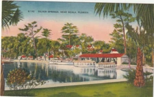 Postcard Glass Bottom Boats At Silver Springs Near Ocala Florida