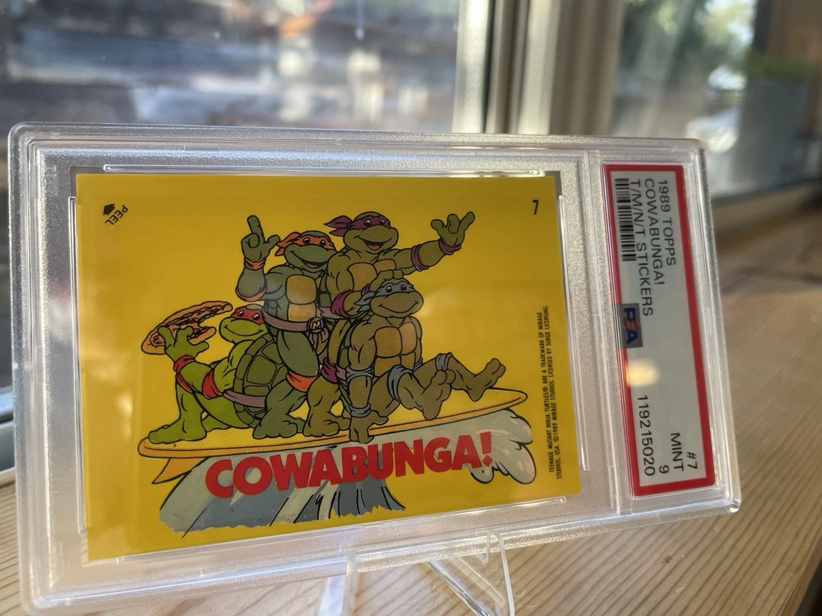 Teenage Mutant Ninja Turtles Professional Sports Authenticator