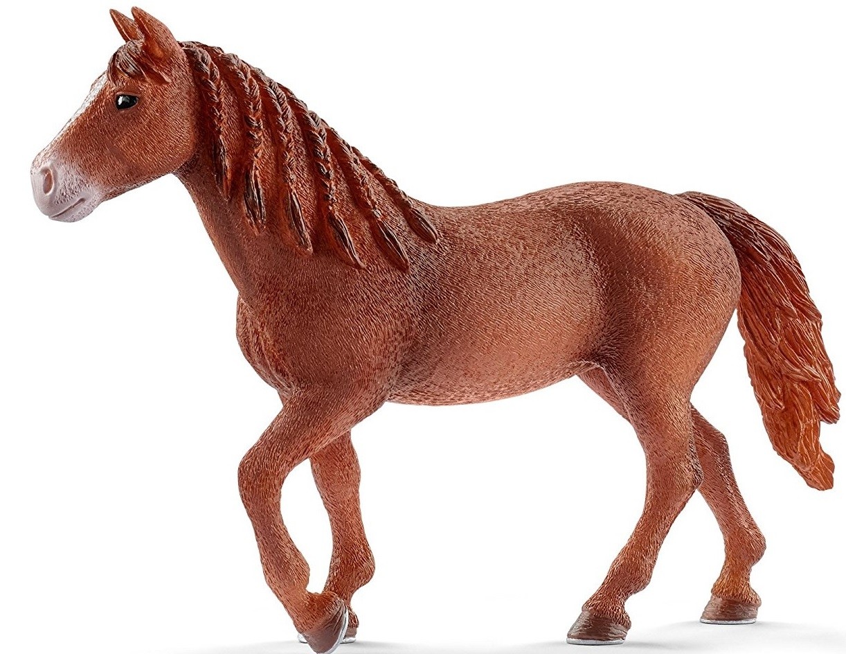 SCHLEICH, Morgana cavalla, ,  SHL13870