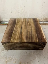 Black Walnut  Blank/platter Blanks/turning Wood (203)
