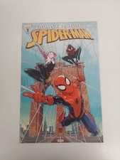 (2018) IDW Marvel Action SpiderMan #1 1:50 Gabriel Rodriguez Variant Cover VF+