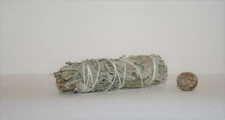 California White Sage & Desert Sage for Smudging Herb 4 to 5 inch Bundle Blend