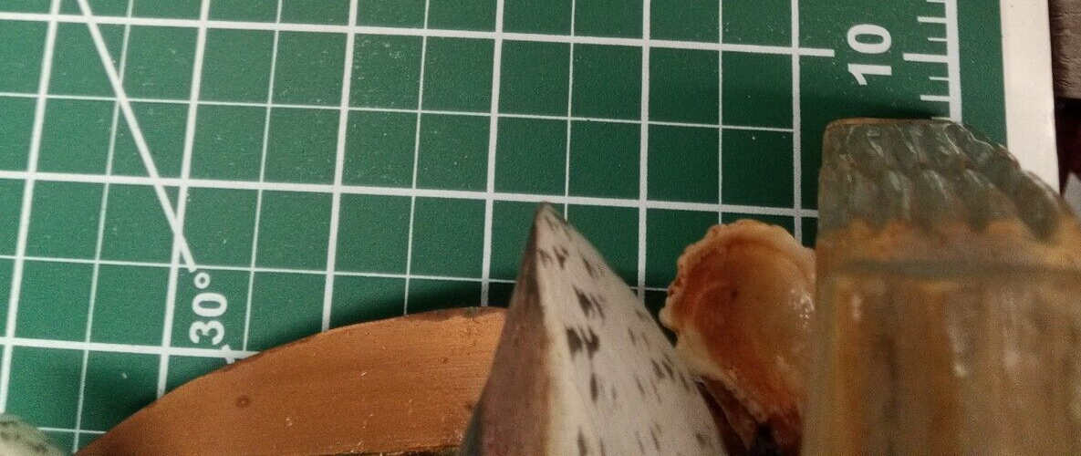 Picture 10 of 13