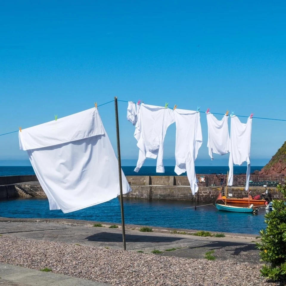 48 paquetes de pinzas de plástico coloridas perchas clips alfileres de ropa de alta resistencia L... Foto 3 de 4