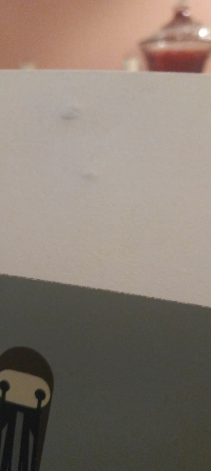 Serigrafía edición limitada Charley Harper Pier Group 824/1000 - 1984 Sally Blanchard Foto 4 de 4