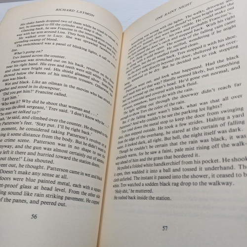 One Rainy Night by Richard Laymon Large Paperback Horror vintage 1991 - Foto 4 di 11