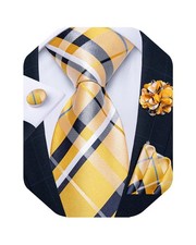 Mens Tie and Lapel Pin Set Silk Plaid Solid Paisley Necktie  Pocket Square C...