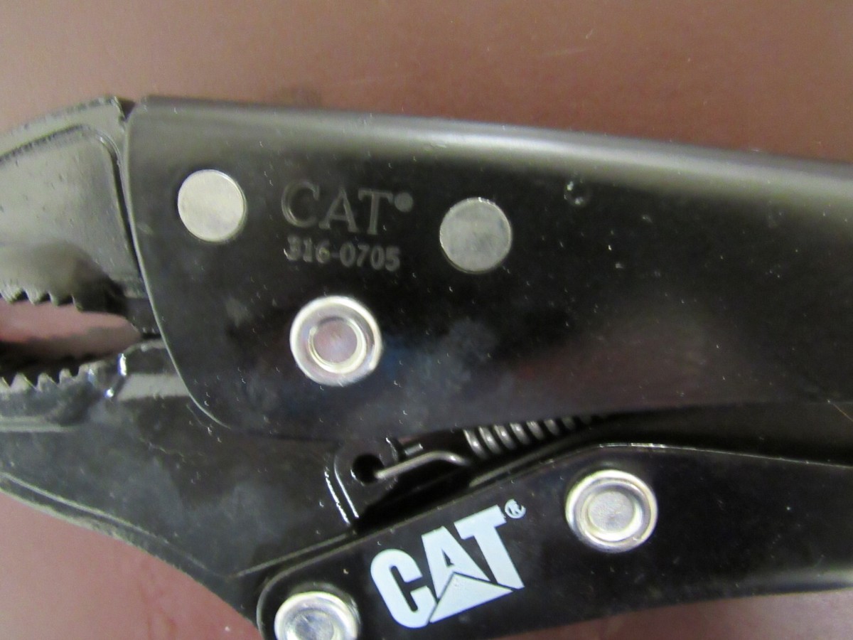 katamondekudasai　no7 Caterpillar Spain 9 1/2