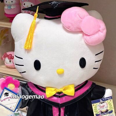 Graduation Gift Hello Kitty Graduation Gown and Doctoral Cap Plush