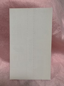 Band only, SS Satacore, Langrisser IV 4 Regular Package, Sega Saturn