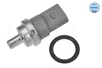 Sensor KüHlmitteltemperatur Vorne Meyle 100 919 0032