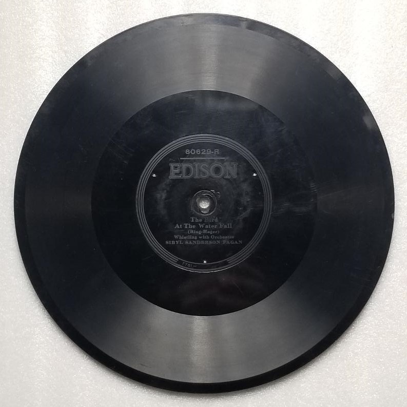 Edison 80629-R/L Bird at the Waterfall / Two Little Bullfinches Diamond Disc