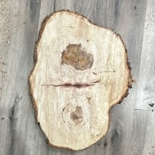 Unique White Oak Slab 18x24 Solid Wood Live Edge Live Edge