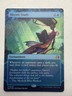 Rhystic Study 25 Wilds of Eldraine: Enchanting Tales MTG Foil NM