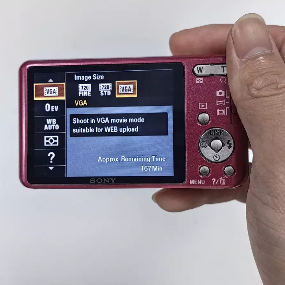 SONY Cyber-shot DSC-W570 Digital Camera 16.1 MP 5x Optical Zoom