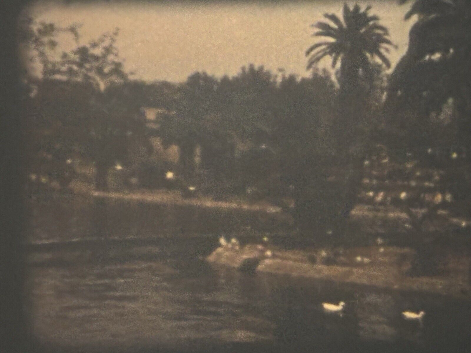 Foto 7 di 24