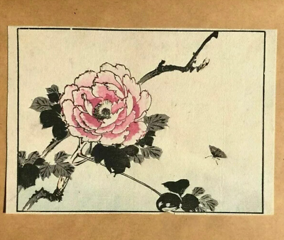 Antique Replica Pink Peonies Art Print Antique Replica Pink Peonies Art Print
