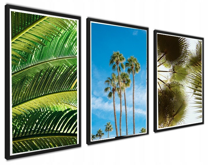 Set of 3 Wall Art Prints Poster Bedroom Living Room  tropical Decor -Size A3