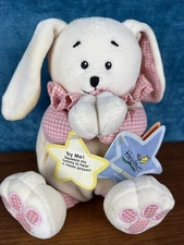2003 Kids II Bright Inspirations Bunny Prayer Friends Pink Plaid Plush Tag SOUND