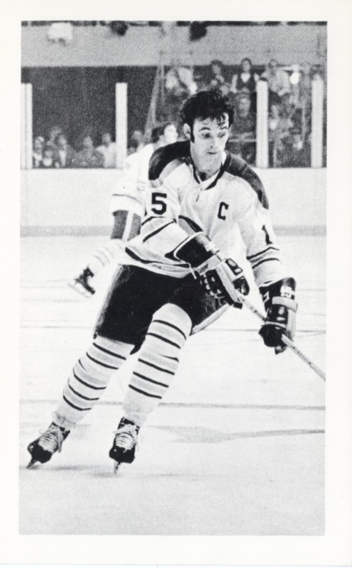 1973-74 Buffalo Sabres Postcard Gerry Meehan - NRMT