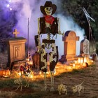 2 Pcs Dachshund Dog with 1 Pcs Cat Skeleton Halloween Spooky Decoration — photo 8