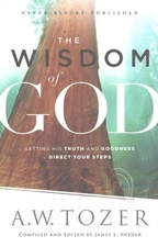 Wisdom of God : Letting His Truth and Goodness Direct Your Steps, Paperback b...