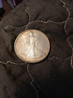 1992 $1 American Silver Eagle 1oz .999 Fine Silver Uncirculated Toning