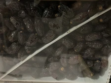 Fresh California Medjool Dates - 11 LBS Dates Box- Special-Size LARGE.