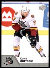 2020-21 Upper Deck AHL #45 David Cotton