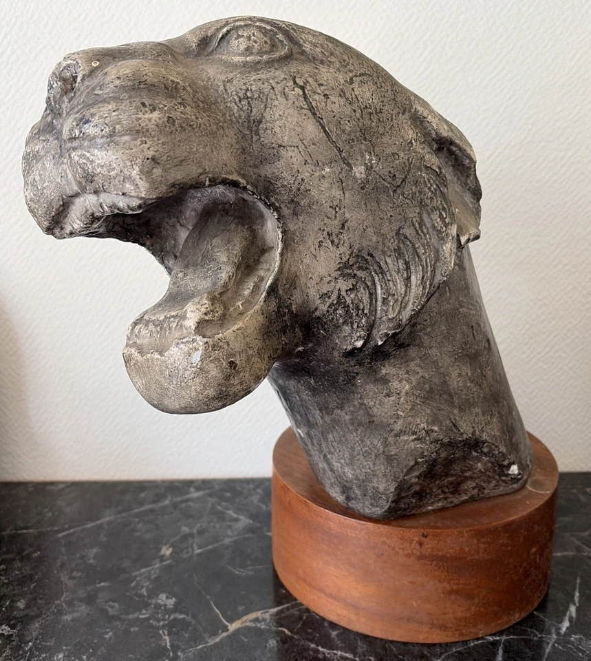 ancienne statue sculpture tête lionne panthère tigre art plâtre d'atelier 19éme - Photo 2/4