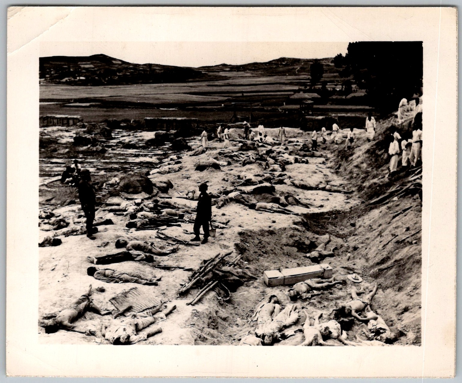 Vtg B&W Snapshot Korean War Mass Murder Victims Chonju Korea Photo 27 Sept 1950