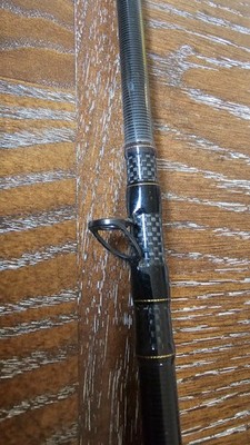 Daiwa Morethan AGS 97MLB | eBay