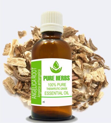 Pure Herbs Angelica Root 100% Pure & Natural Angelica archangelica Essential Oil - Picture 5 of 13