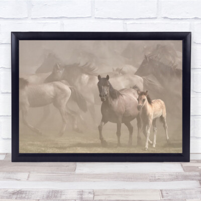 Dusty Pony Ponys Pferd Pferde Tier Tiere Herde Staub Wandbild Kunstdruck