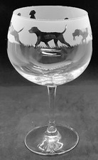 WIRE HAIRED HUNGARIAN VIZSLA Frieze Boxed 70cl Glass Gin Balloon