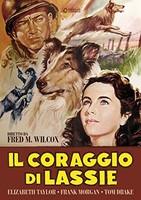 Coraggio Di Lassie - Dvd - G3Z