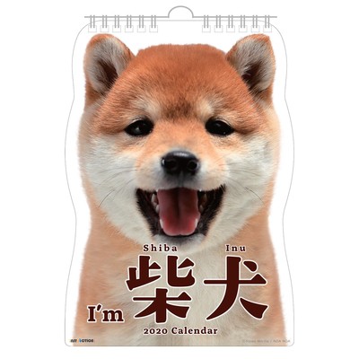 Shiba Inu Die Cut Wall Calendar 2020 English Adorable Shiba Dog Puppies Pictures Ebay
