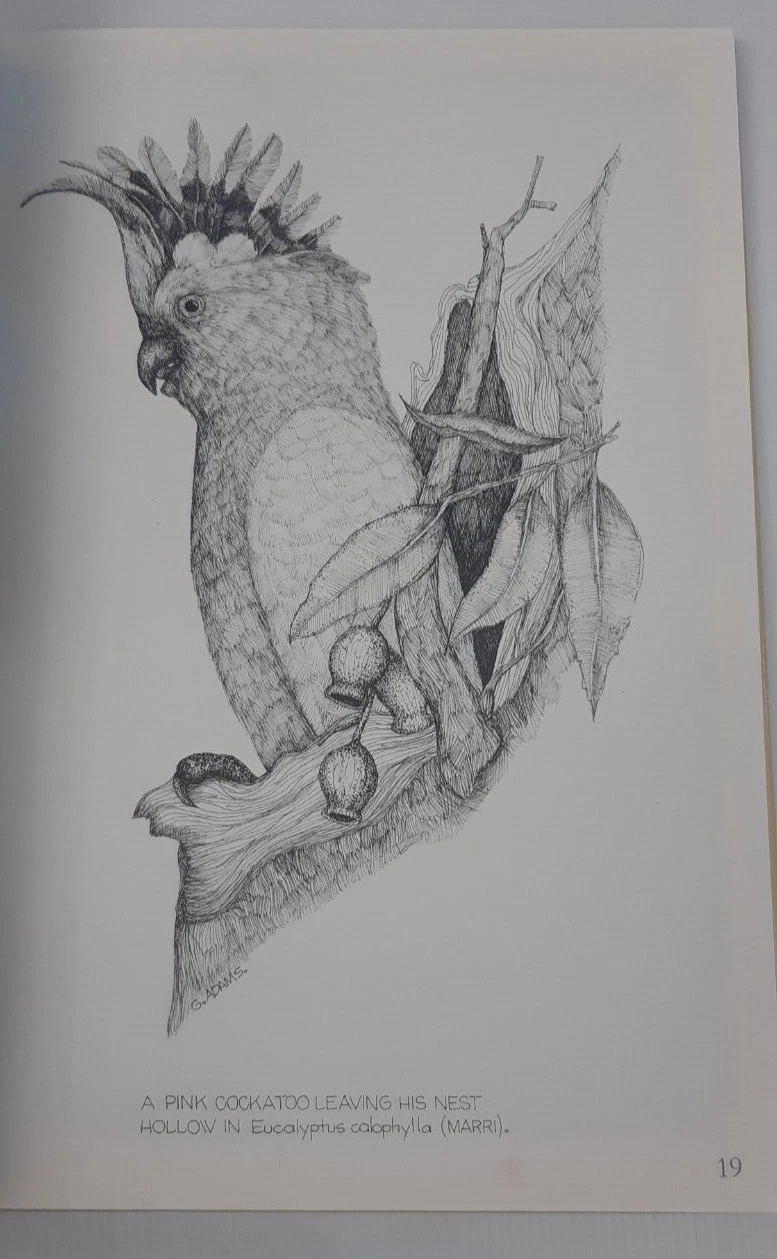 Picture 16 of 16