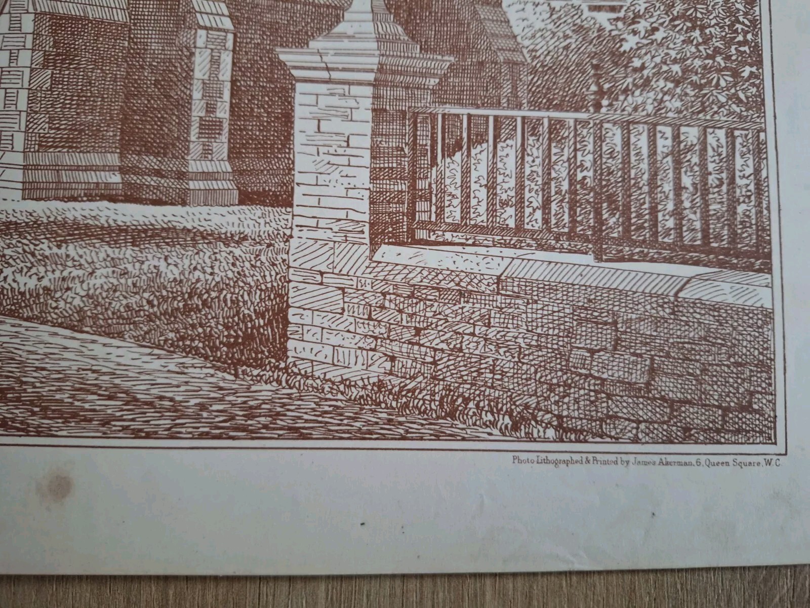 Picture 3