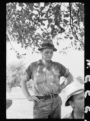 Wheat Straw,Threshing Machine,Frederick,Maryland,MD,Arthur Rothstein,FSA,11