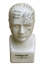 Small Ceramic Phrenology Head, 19cm Tall