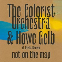 The Colorist Orchestra & Howe Gelb: The Colorist Orchestra & Howe Gelb - Not On
