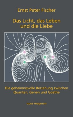 Das Licht, Das Leben Und Die Liebe: Die Geheimnisvolle Beziehung Zwischen Q...